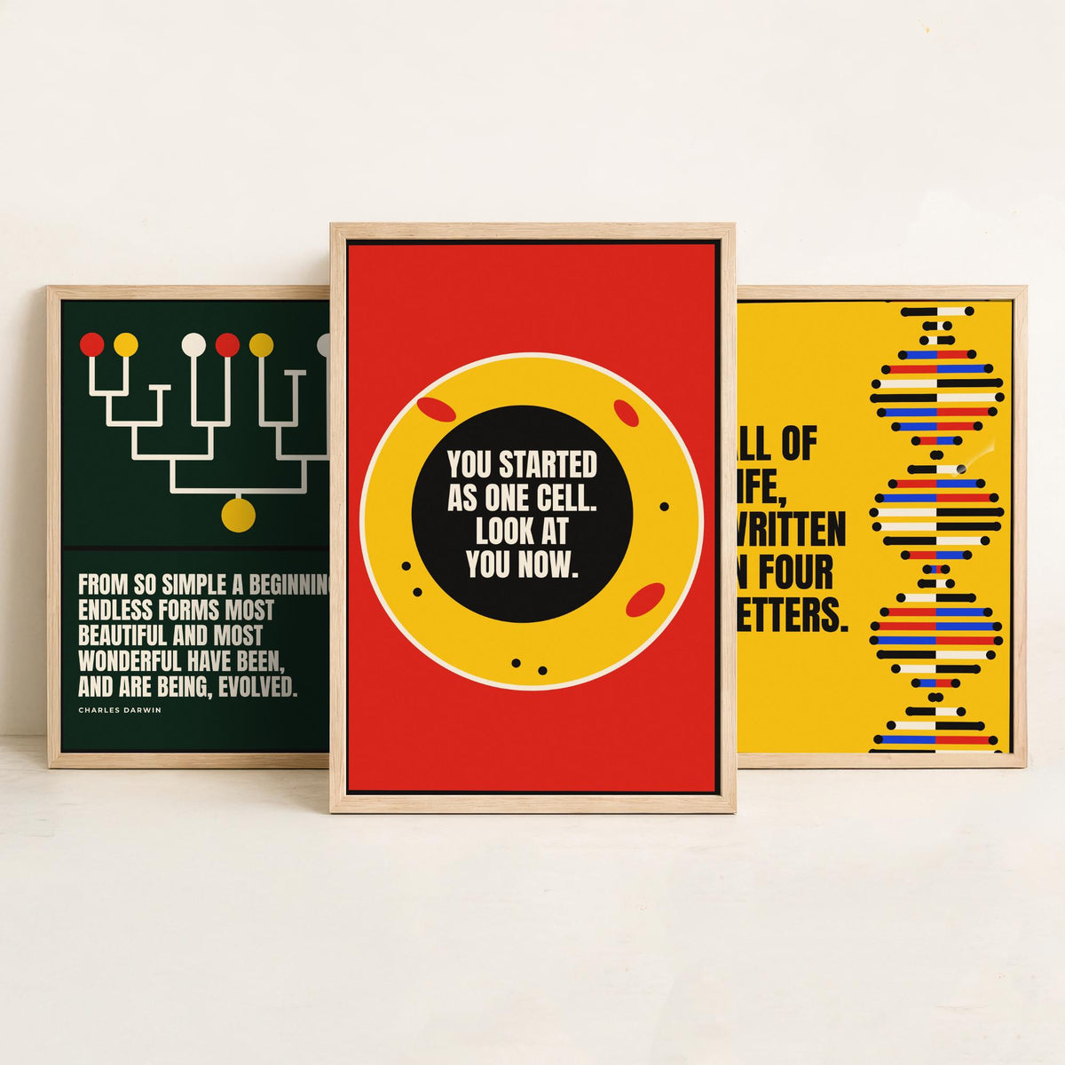 Biology Quotes Set of Three Art Prints - 3 Bauhaus Nature Science Posters - Minimalist Science Wall Art Illustration V1