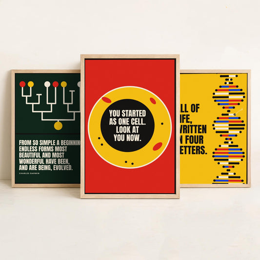 Biology Quotes Set of Three Art Prints - 3 Bauhaus Nature Science Posters - Minimalist Science Wall Art Illustration V1
