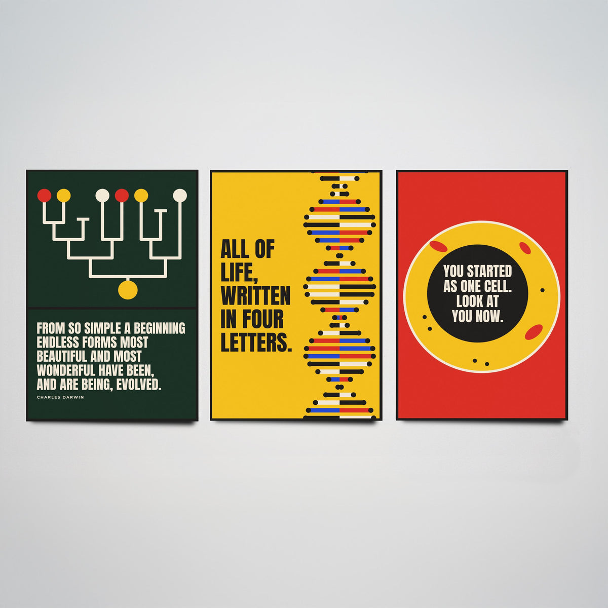Biology Quotes Set of Three Art Prints - 3 Bauhaus Nature Science Posters - Minimalist Science Wall Art Illustration V1