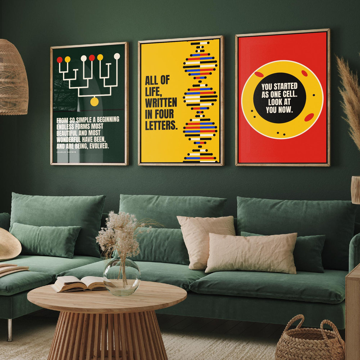 Biology Quotes Set of Three Art Prints - 3 Bauhaus Nature Science Posters - Minimalist Science Wall Art Illustration V1