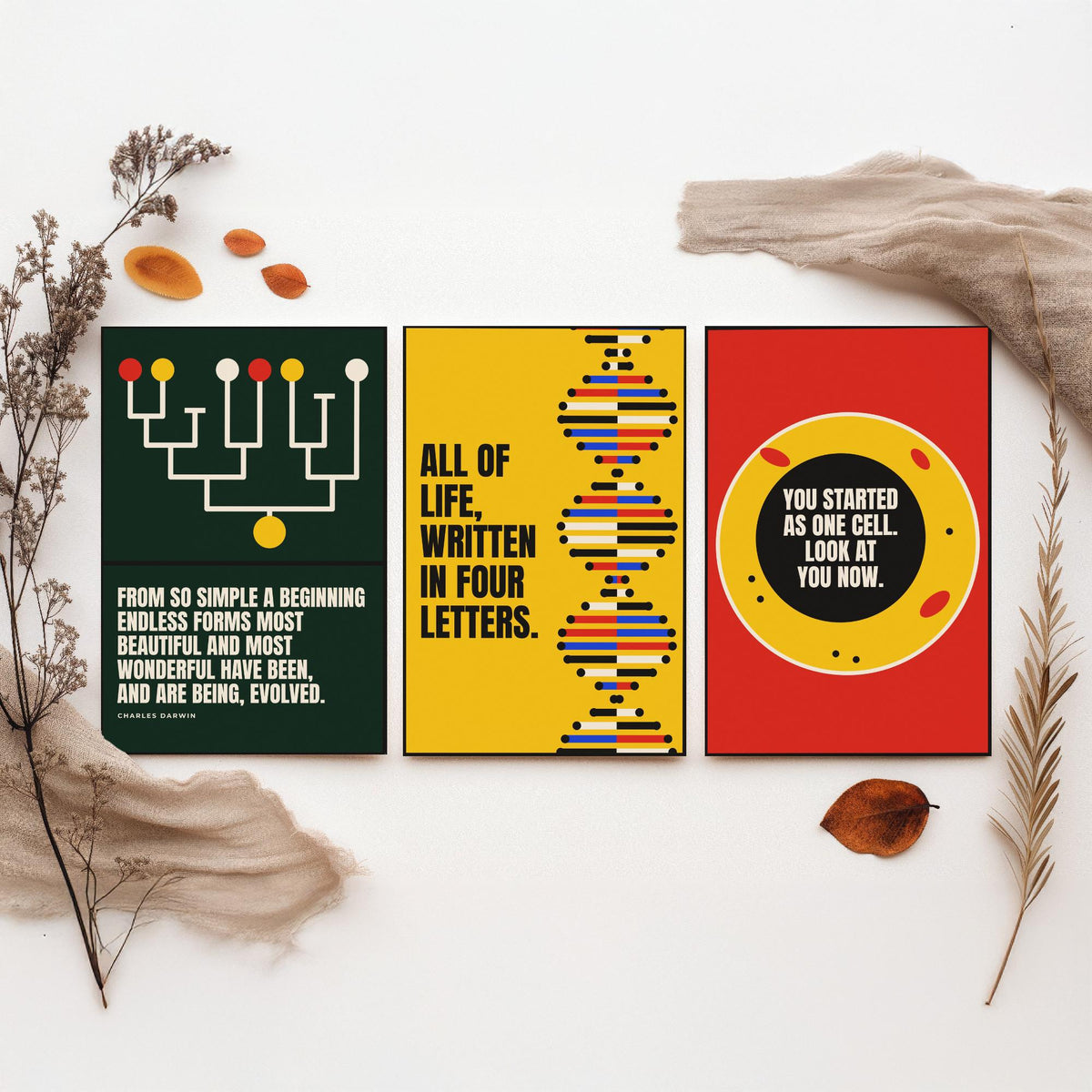 Biology Quotes Set of Three Art Prints - 3 Bauhaus Nature Science Posters - Minimalist Science Wall Art Illustration V1