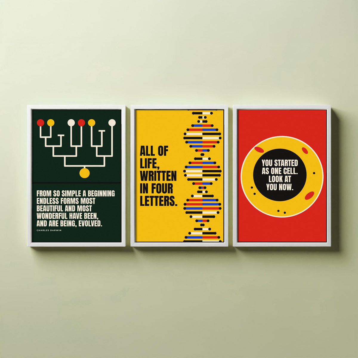 Biology Quotes Set of Three Art Prints - 3 Bauhaus Nature Science Posters - Minimalist Science Wall Art Illustration V1