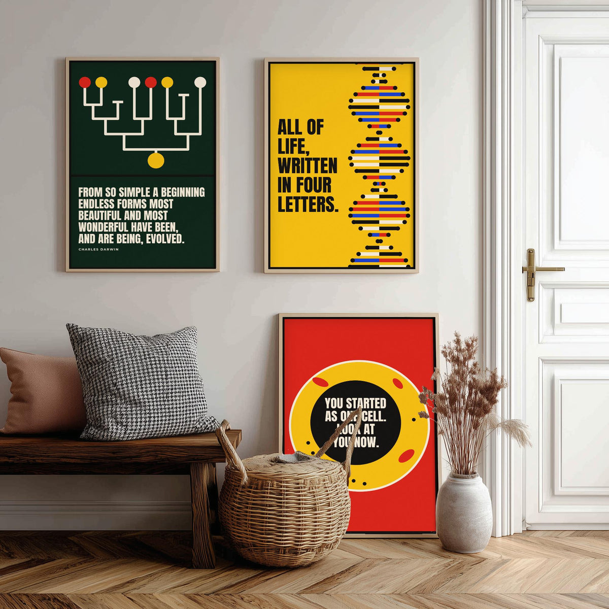 Biology Quotes Set of Three Art Prints - 3 Bauhaus Nature Science Posters - Minimalist Science Wall Art Illustration V1