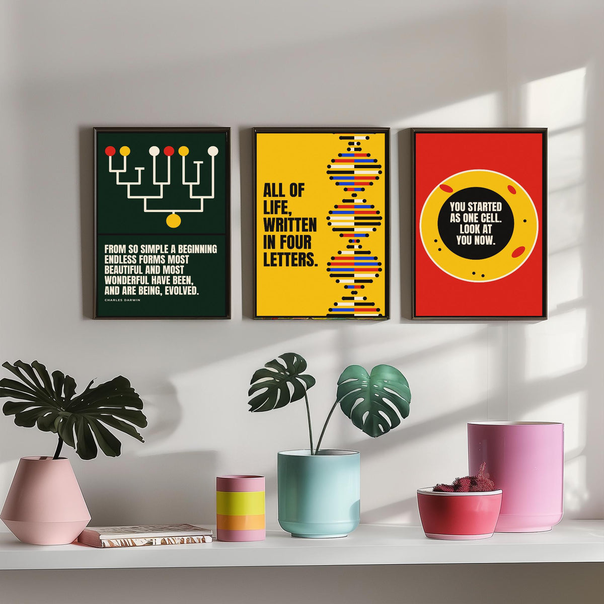 Biology Quotes Set of Three Art Prints - 3 Bauhaus Nature Science Posters - Minimalist Science Wall Art Illustration V1