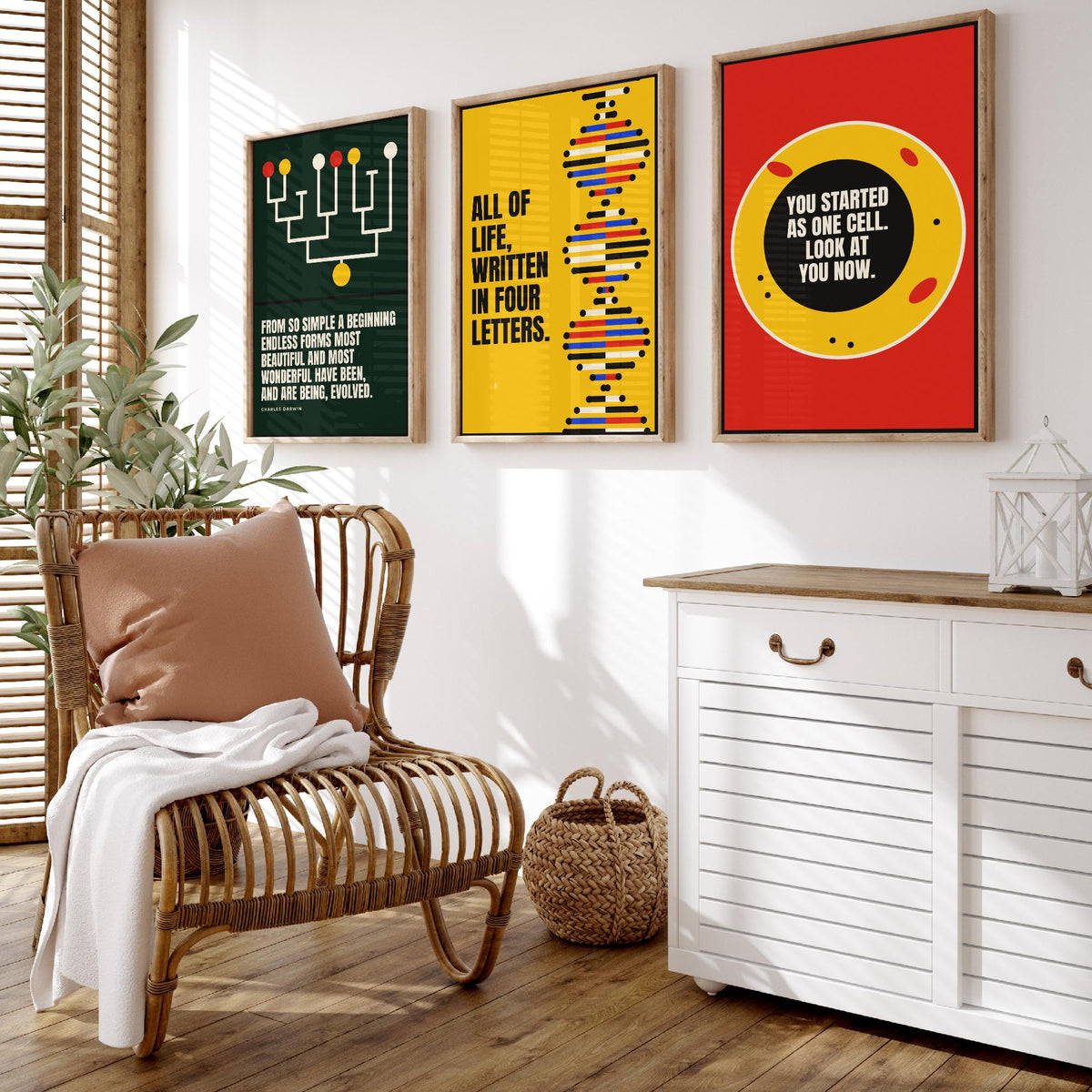 Biology Quotes Set of Three Art Prints - 3 Bauhaus Nature Science Posters - Minimalist Science Wall Art Illustration V1
