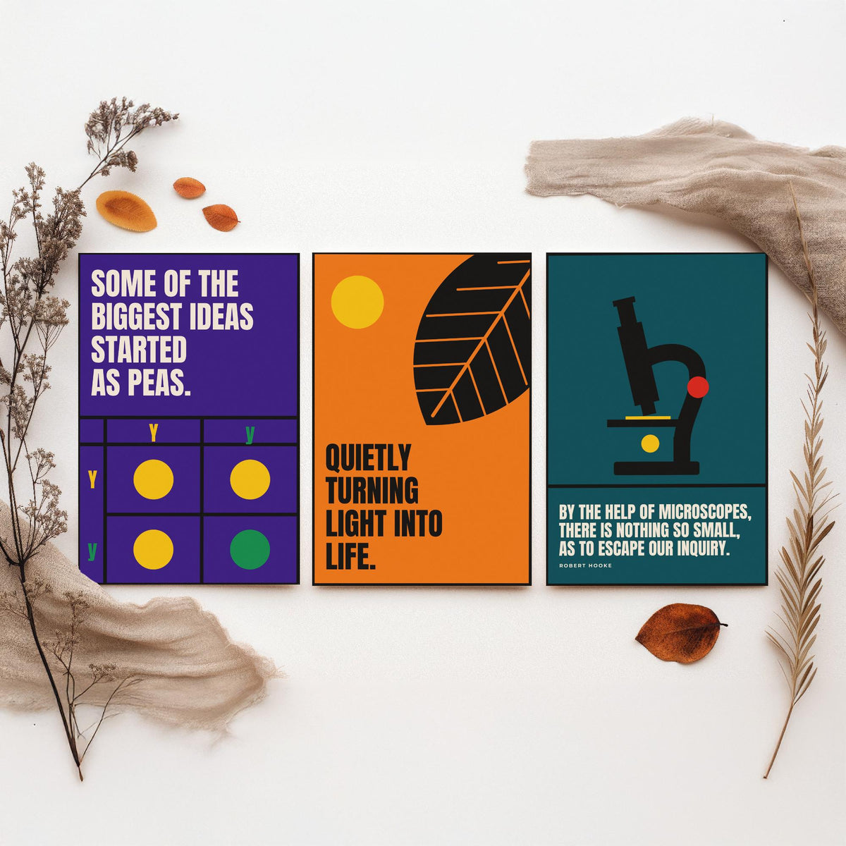 Biology Quotes Set of Three Art Prints - 3 Retro Bauhaus Nature Science Posters - Minimalist Science Wall Art Illustration V2