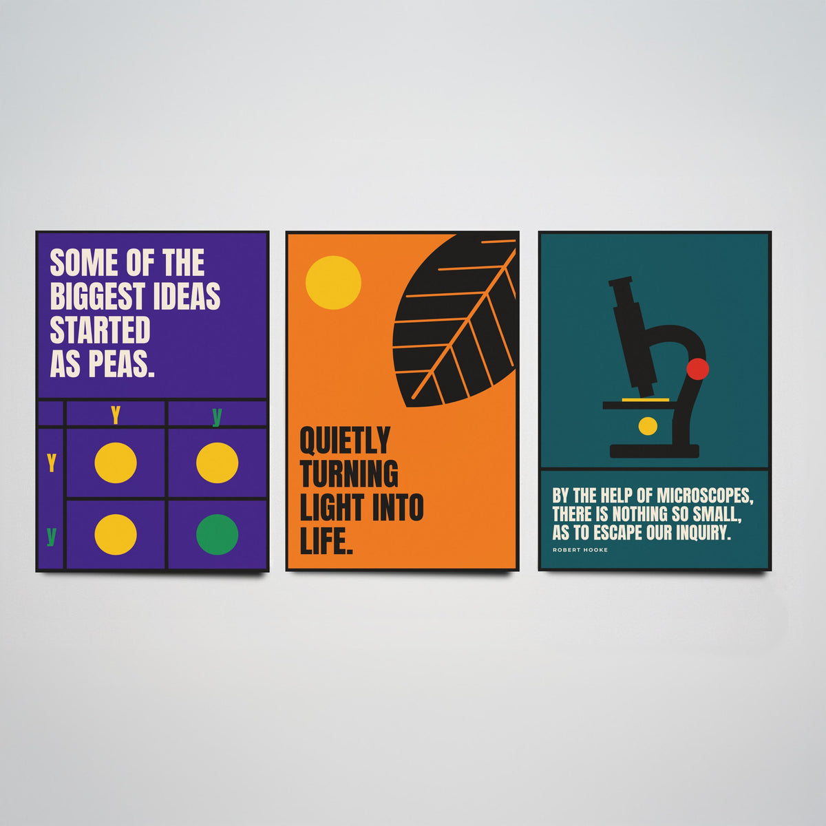 Biology Quotes Set of Three Art Prints - 3 Retro Bauhaus Nature Science Posters - Minimalist Science Wall Art Illustration V2