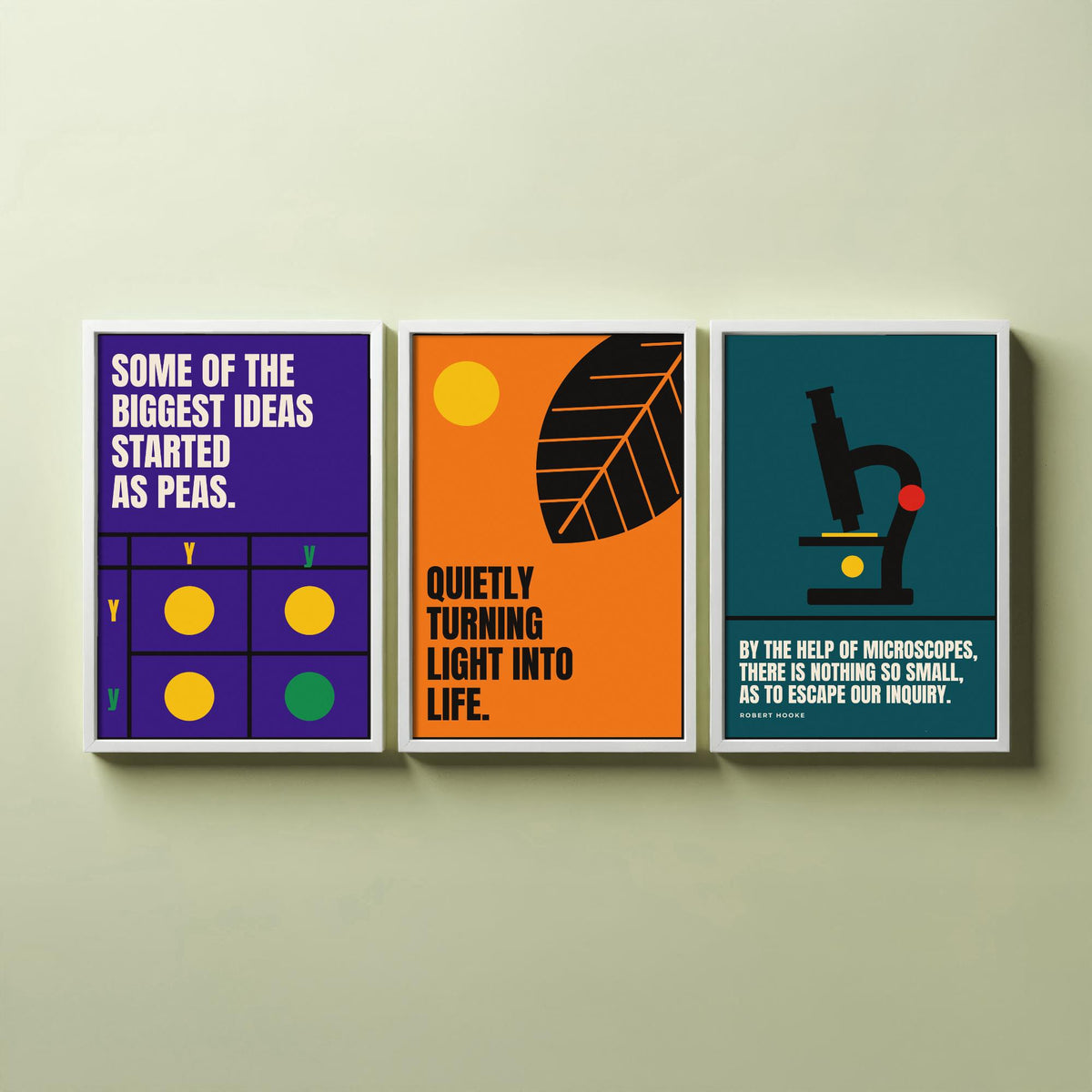 Biology Quotes Set of Three Art Prints - 3 Retro Bauhaus Nature Science Posters - Minimalist Science Wall Art Illustration V2