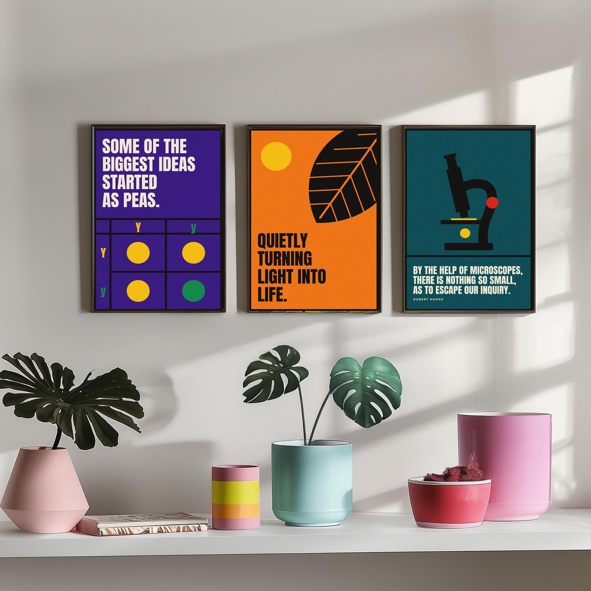 Biology Quotes Set of Three Art Prints - 3 Retro Bauhaus Nature Science Posters - Minimalist Science Wall Art Illustration V2