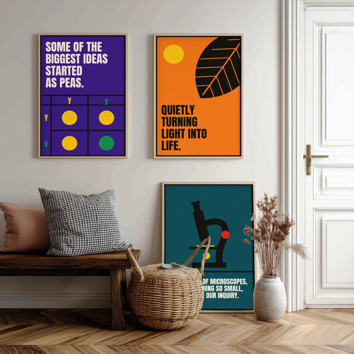 Biology Quotes Set of Three Art Prints - 3 Retro Bauhaus Nature Science Posters - Minimalist Science Wall Art Illustration V2