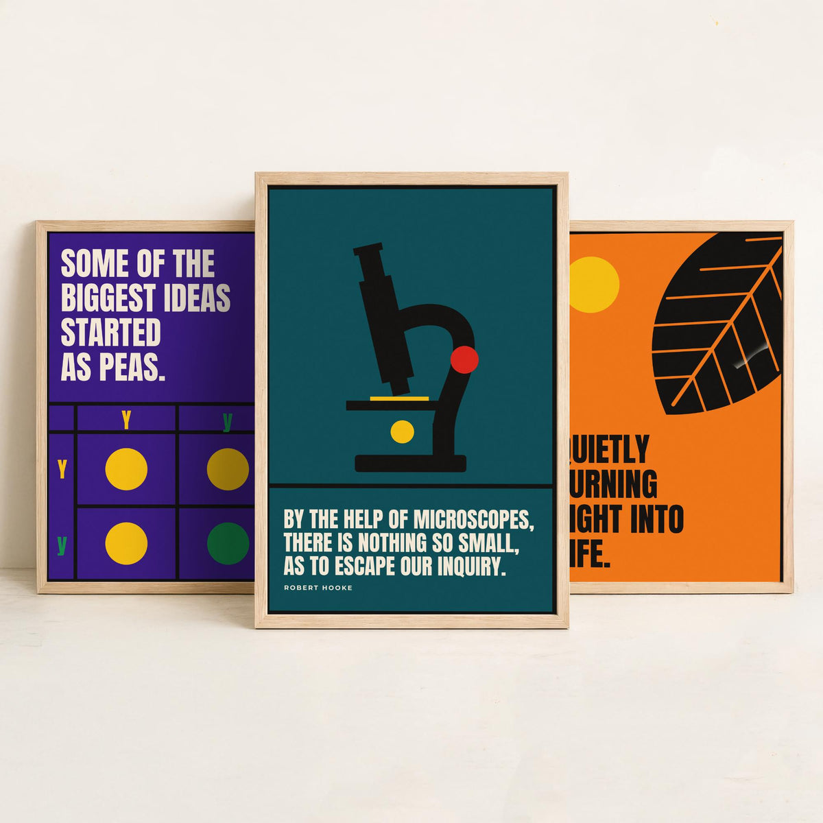 Biology Quotes Set of Three Art Prints - 3 Retro Bauhaus Nature Science Posters - Minimalist Science Wall Art Illustration V2