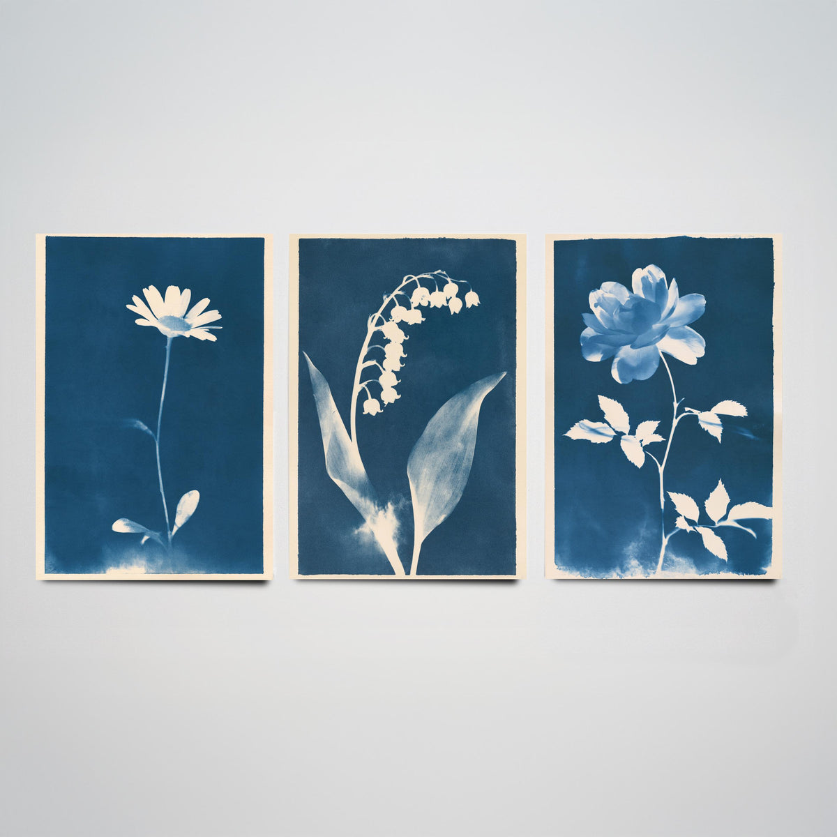 April to June Birth Flower Set of Three Art Prints - Daisy, Lily of the Valley, Rose - Blue Cyanotype Botanical Illustration Posters