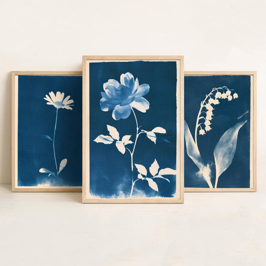 April to June Birth Flower Set of Three Art Prints - Daisy, Lily of the Valley, Rose - Blue Cyanotype Botanical Illustration Posters