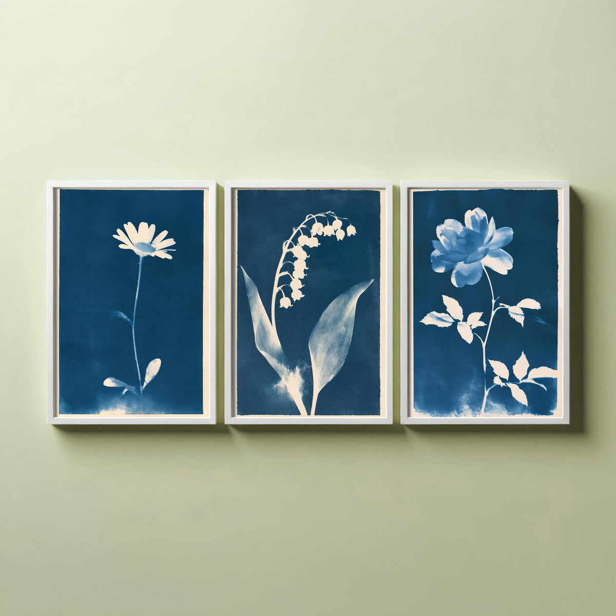 April to June Birth Flower Set of Three Art Prints - Daisy, Lily of the Valley, Rose - Blue Cyanotype Botanical Illustration Posters