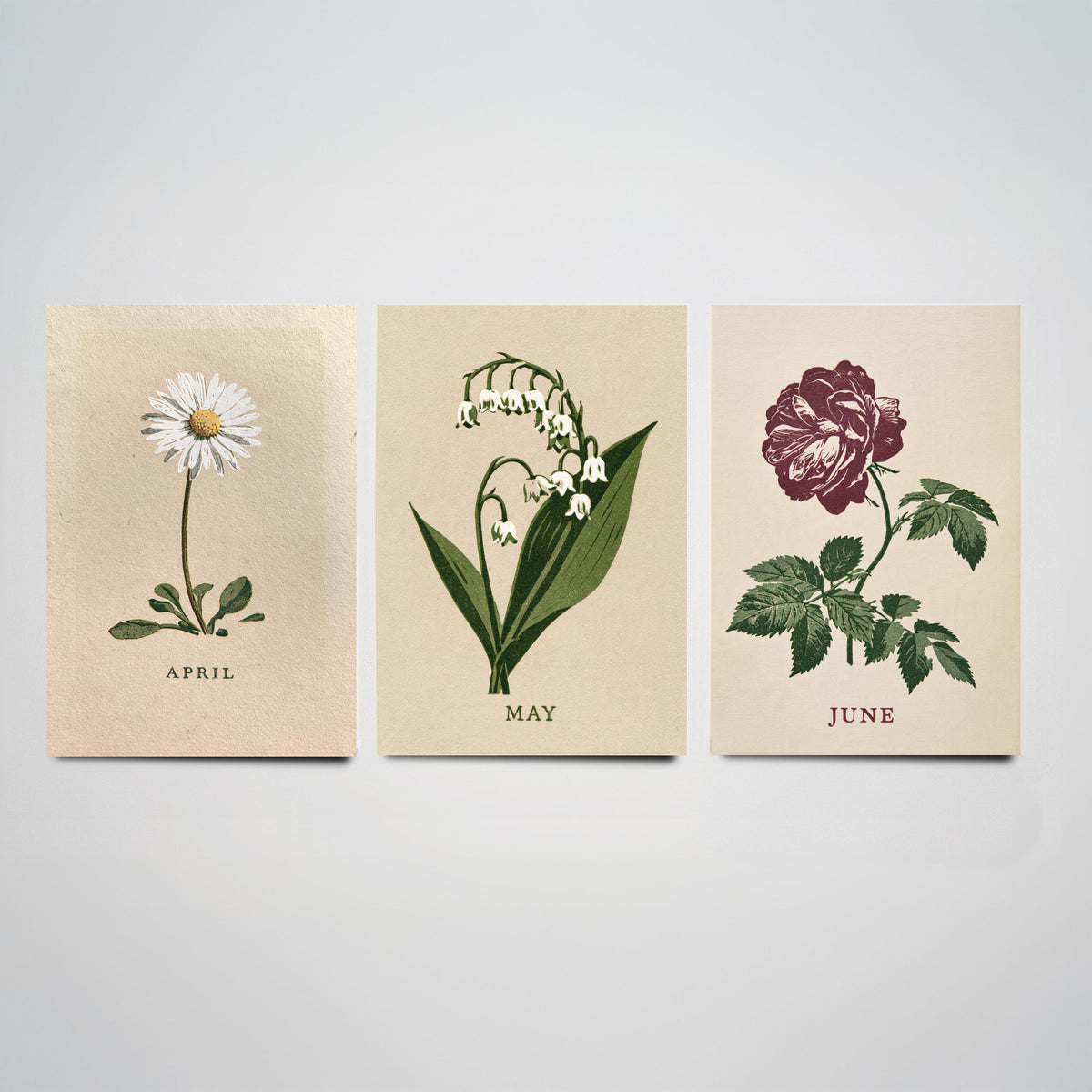 April to June Birth Flower Set of Three Art Prints - Daisy, Lily of the Valley, Rose - Bold Block Print Botanical Illustration Posters