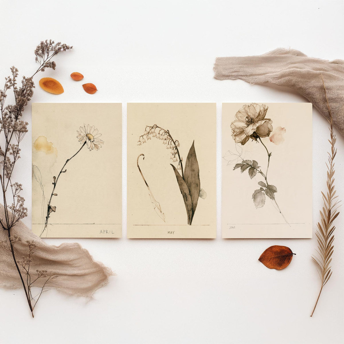 April to June Birth Flower Set of Three Art Prints - Daisy, Lily of the Valley, Rose - Antique Sepia Ink Botanical Illustration Posters