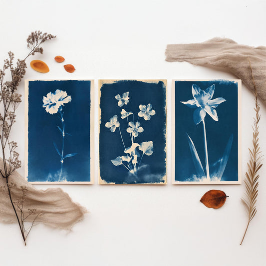 January to March Birth Flower Set of Three Art Prints - Carnation, Violet, Daffodil - Blue Cyanotype Botanical Illustration Posters