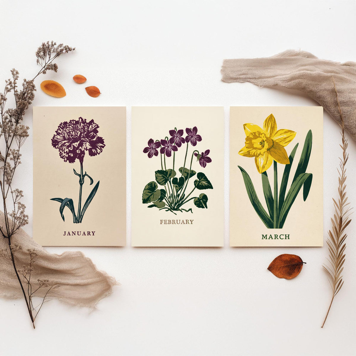 January to March Birth Flower Set of Three Art Prints - Carnation, Violet, Daffodil - Bold Block Print Botanical Illustration Posters