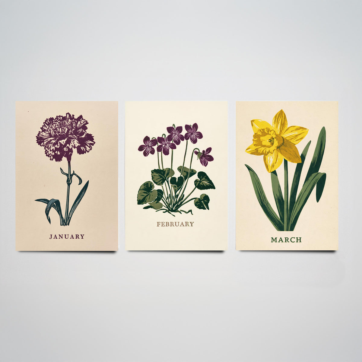 January to March Birth Flower Set of Three Art Prints - Carnation, Violet, Daffodil - Bold Block Print Botanical Illustration Posters