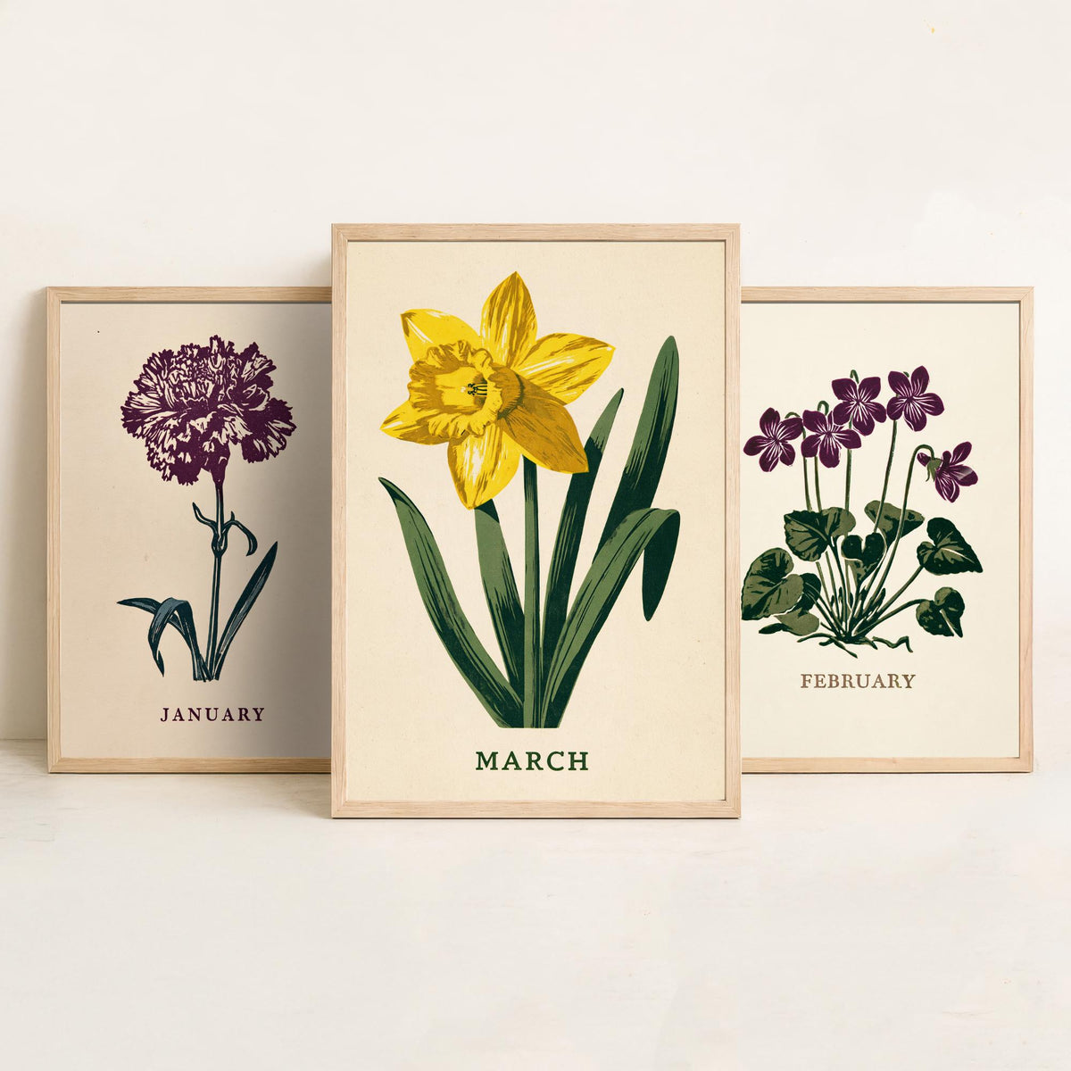 January to March Birth Flower Set of Three Art Prints - Carnation, Violet, Daffodil - Bold Block Print Botanical Illustration Posters