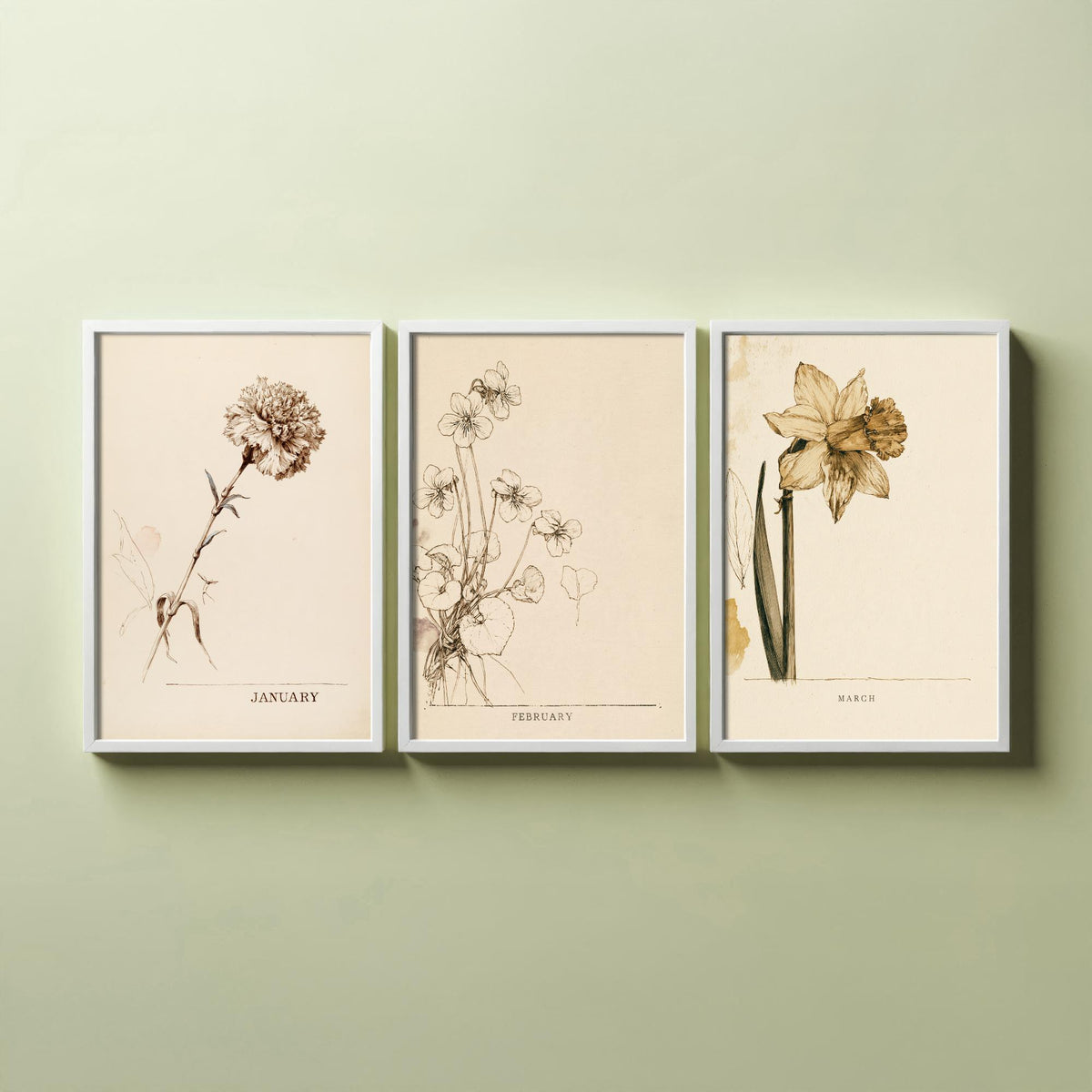 January to March Birth Flower Set of Three Art Prints - Carnation, Violet, Daffodil - Antique Sepia Ink Botanical Illustration Posters