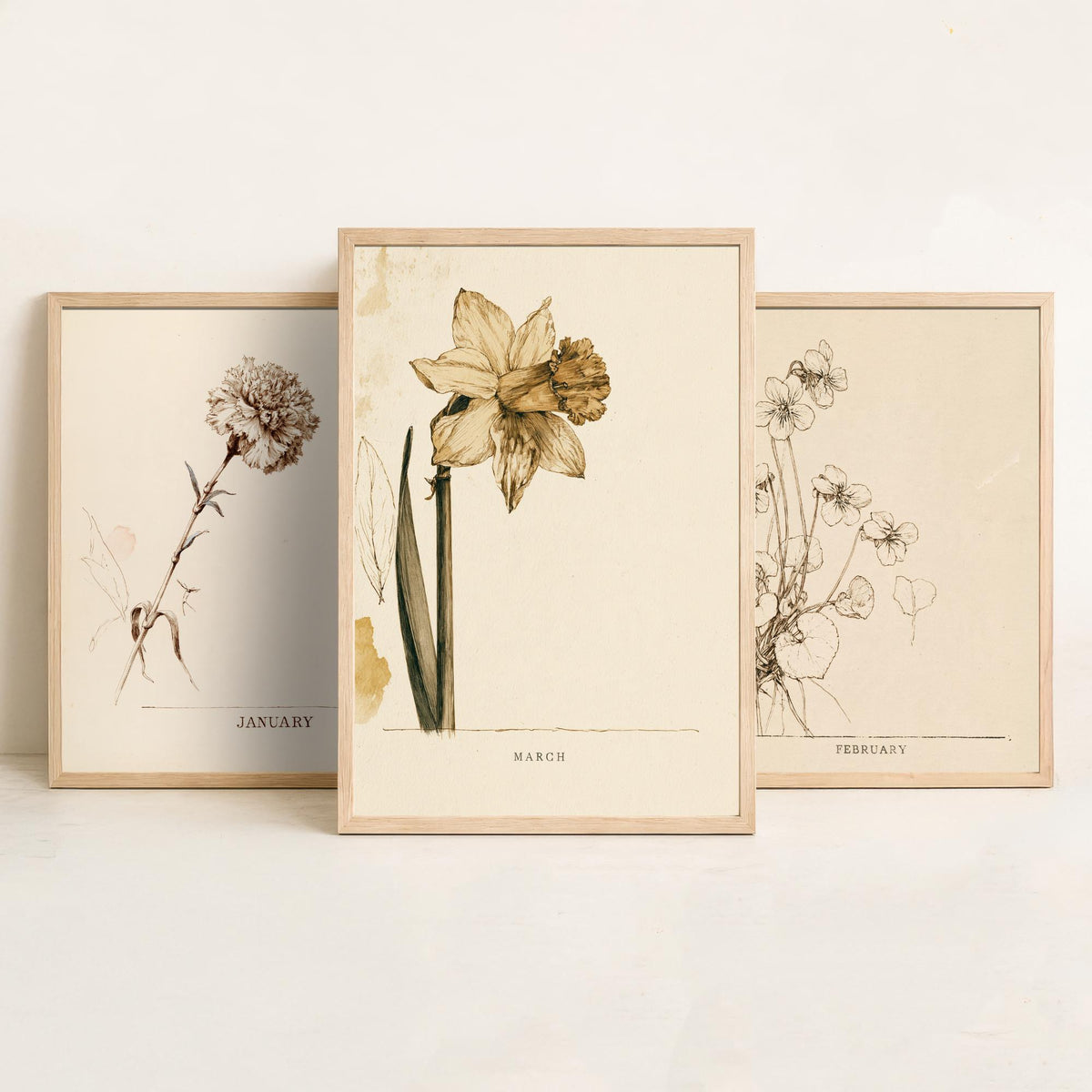 January to March Birth Flower Set of Three Art Prints - Carnation, Violet, Daffodil - Antique Sepia Ink Botanical Illustration Posters