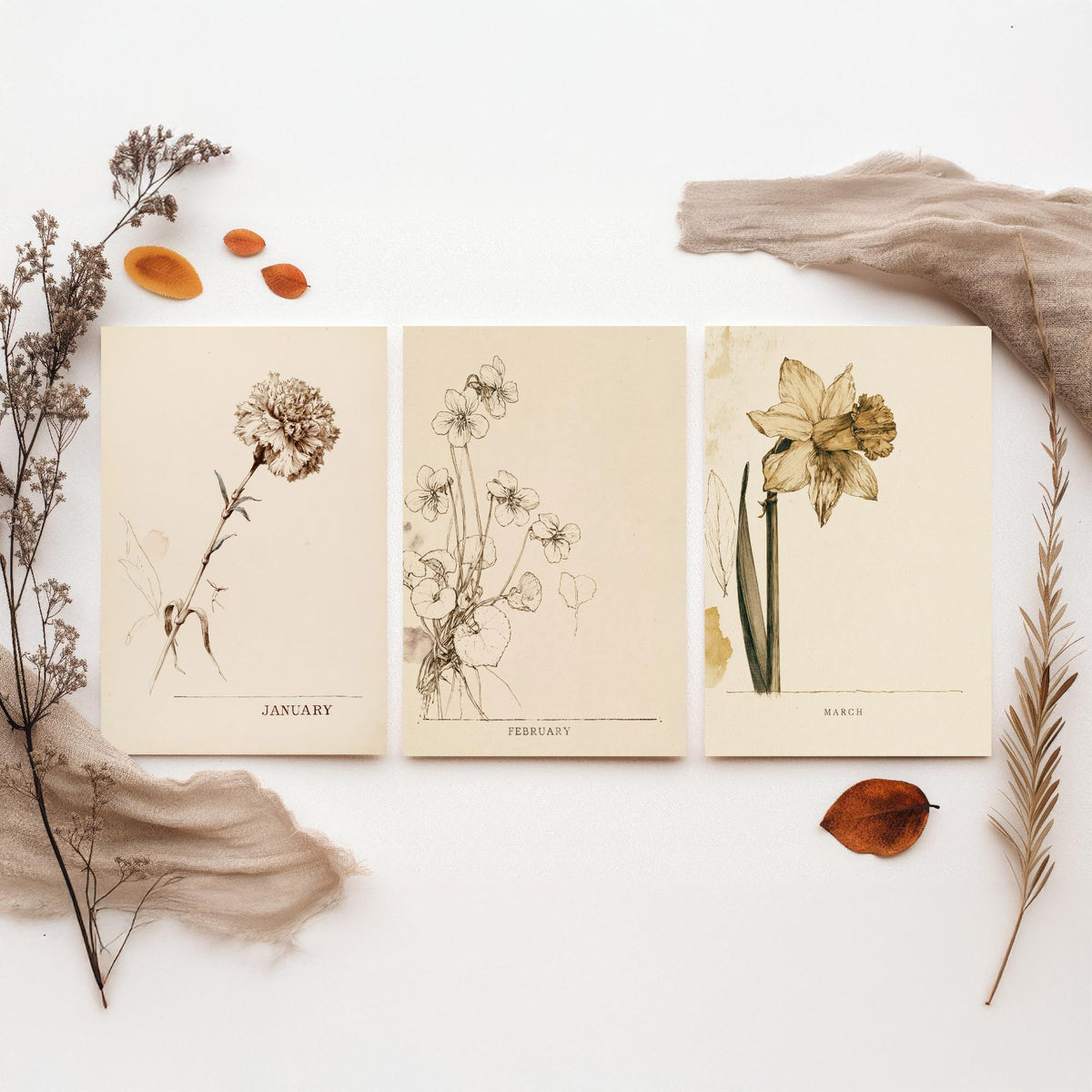 January to March Birth Flower Set of Three Art Prints - Carnation, Violet, Daffodil - Antique Sepia Ink Botanical Illustration Posters