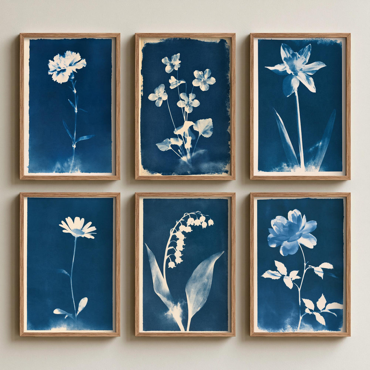 January to June Birth Flower Set of Six Art Prints - 6 Blue Cyanotype Botanical Illustration Posters - Carnation to Rose