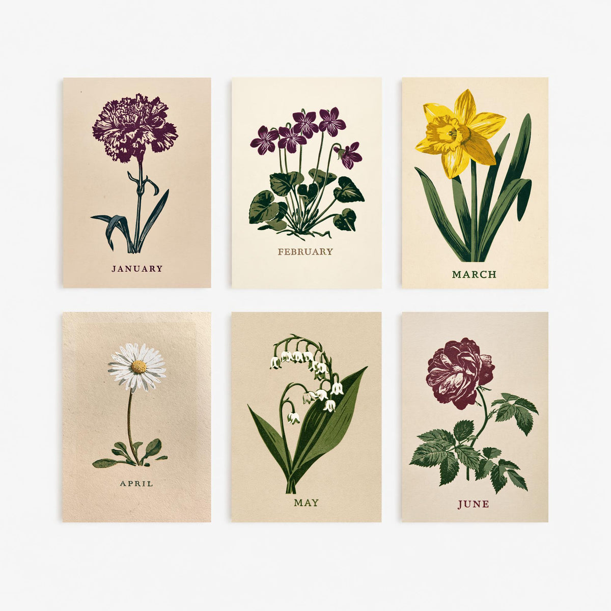 January to June Birth Flower Set of Six Art Prints - 6 Bold Block Print Botanical Illustration Posters - Carnation to Rose