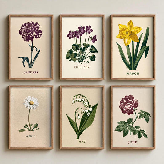 January to June Birth Flower Set of Six Art Prints - 6 Bold Block Print Botanical Illustration Posters - Carnation to Rose