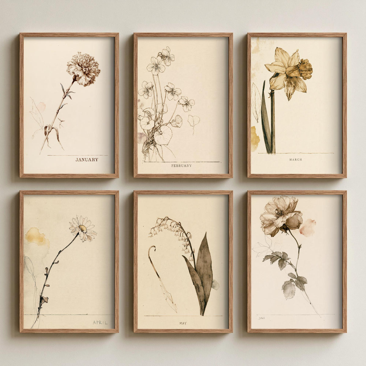 January to June Birth Flower Set of Six Art Prints - 6 Antique Sepia Ink Botanical Illustration Posters - Carnation to Rose