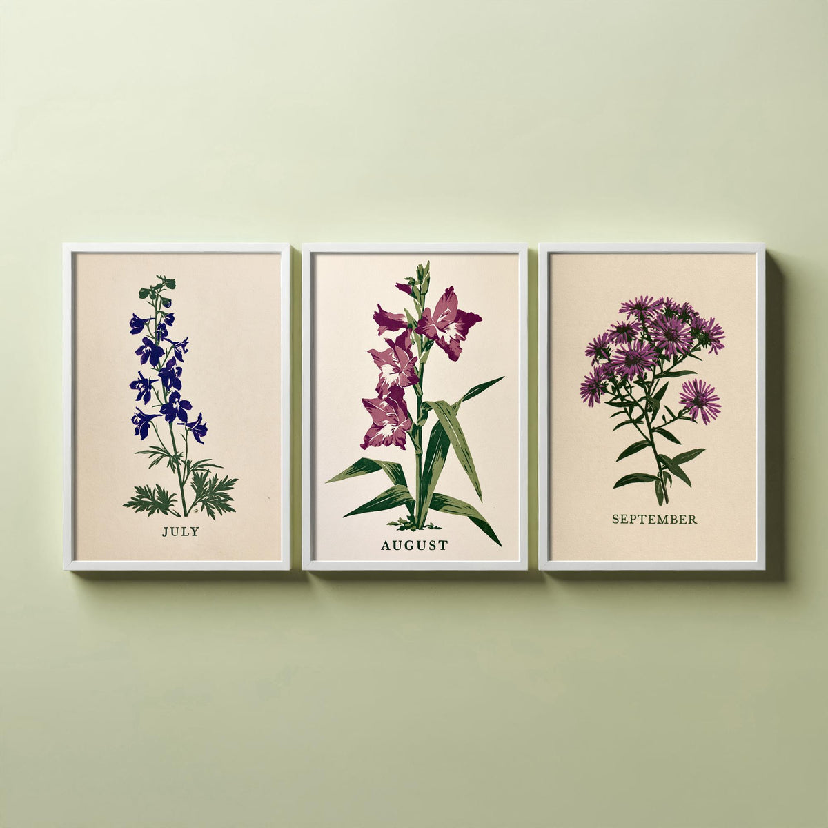 July to September Birth Flower Set of Three Art Prints - Larkspur, Gladiolus, Aster - Bold Block Print Botanical Illustration Posters