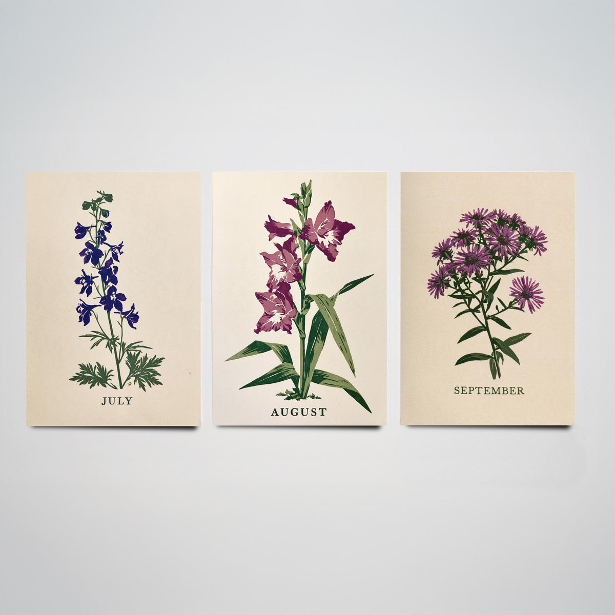 July to September Birth Flower Set of Three Art Prints - Larkspur, Gladiolus, Aster - Bold Block Print Botanical Illustration Posters