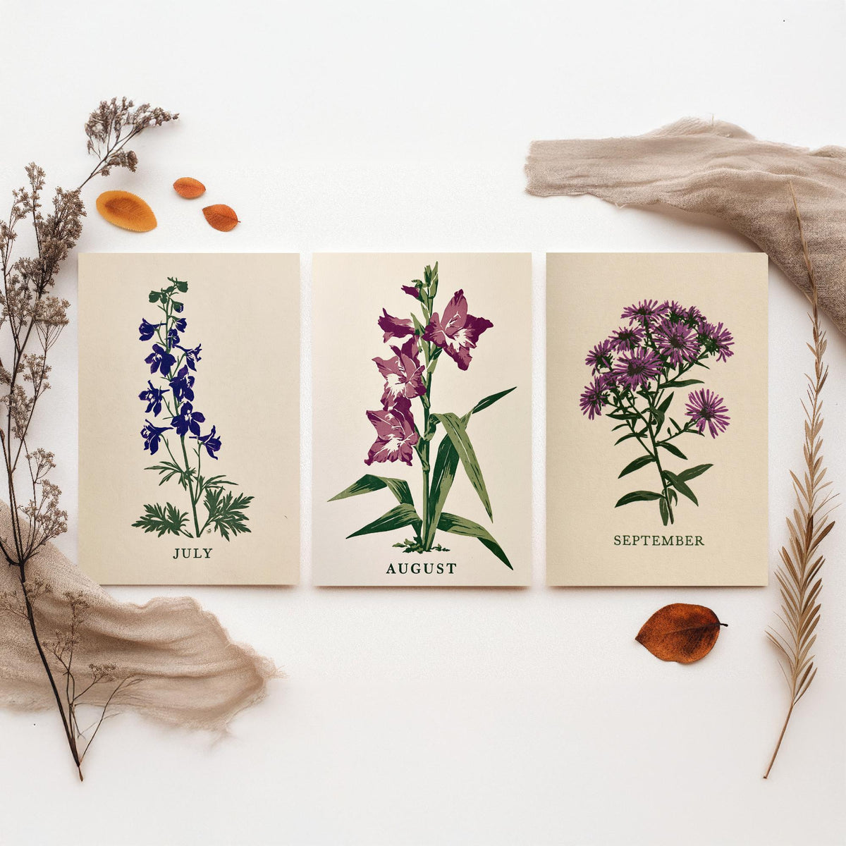 July to September Birth Flower Set of Three Art Prints - Larkspur, Gladiolus, Aster - Bold Block Print Botanical Illustration Posters