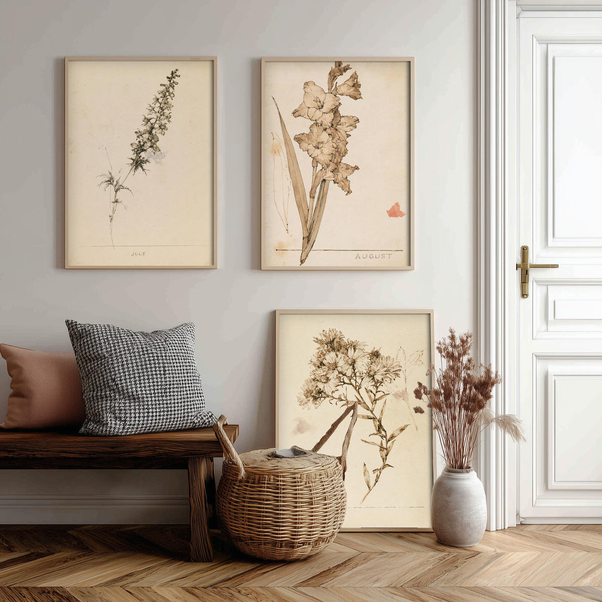 July to September Birth Flower Set of Three Art Prints - Larkspur, Gladiolus, Aster - Antique Sepia Ink Botanical Illustration Posters