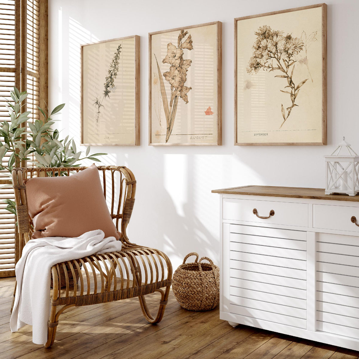 July to September Birth Flower Set of Three Art Prints - Larkspur, Gladiolus, Aster - Antique Sepia Ink Botanical Illustration Posters