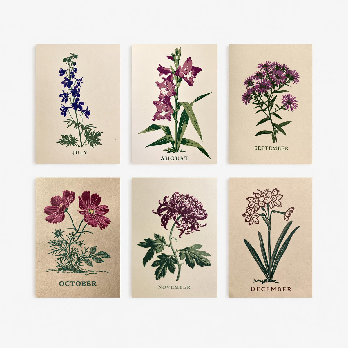 July to December Birth Flower Set of Six Art Prints - 6 Bold Block Print Botanical Illustration Posters - Larkspur to Narcissus