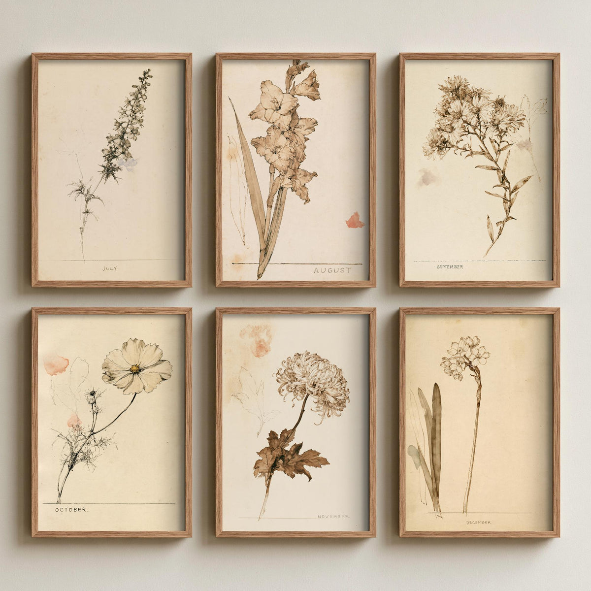 July to December Birth Flower Set of Six Art Prints - 6 Antique Sepia Ink Botanical Illustration Posters - Larkspur to Narcissus