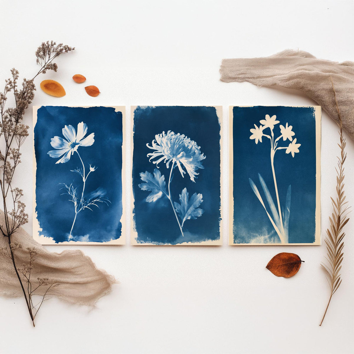 October to December Birth Flower Set of Three Art Prints - Cosmos, Chrysanthemum, Narcissus - Blue Cyanotype Botanical Illustration Posters