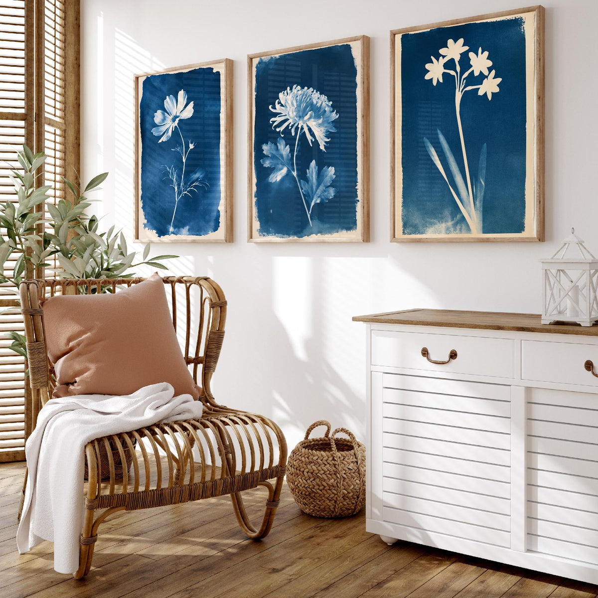 October to December Birth Flower Set of Three Art Prints - Cosmos, Chrysanthemum, Narcissus - Blue Cyanotype Botanical Illustration Posters