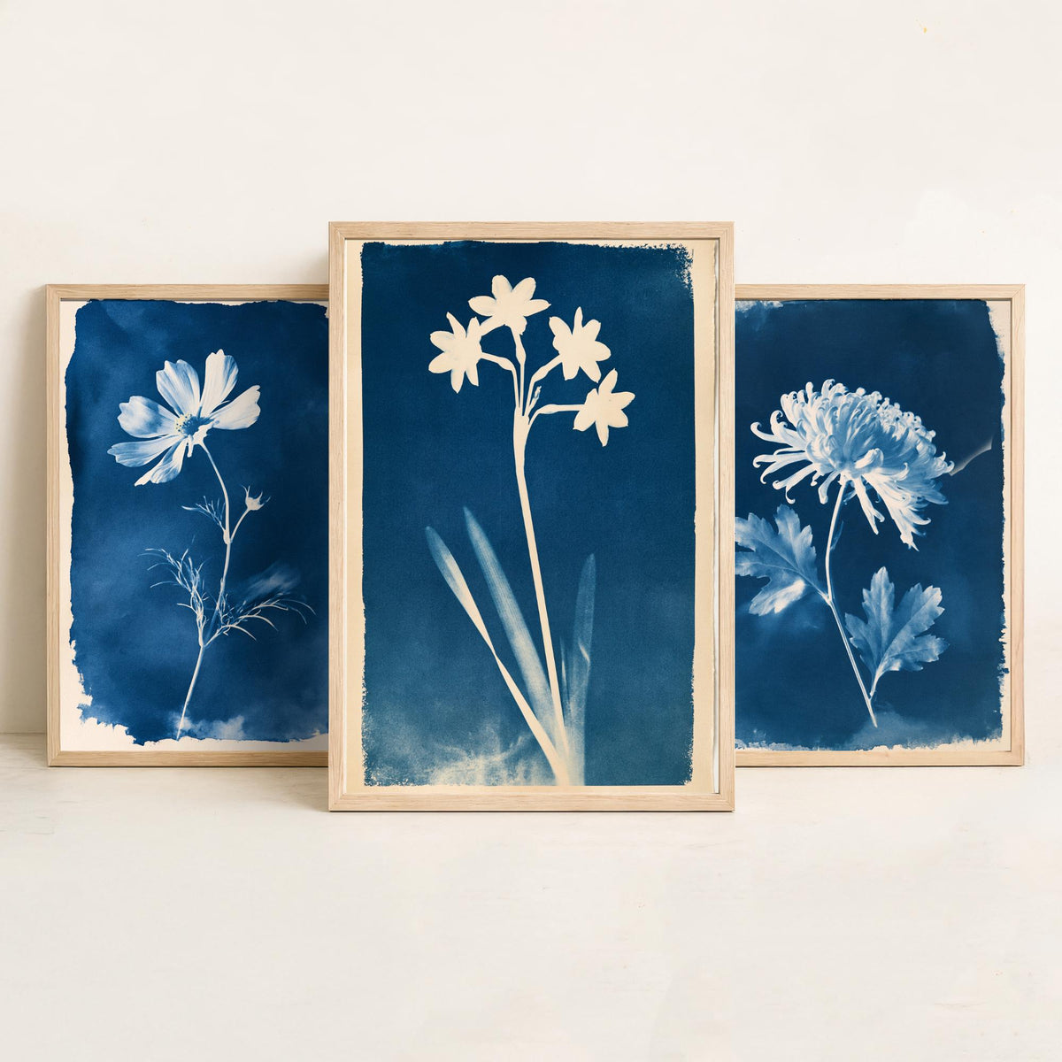 October to December Birth Flower Set of Three Art Prints - Cosmos, Chrysanthemum, Narcissus - Blue Cyanotype Botanical Illustration Posters