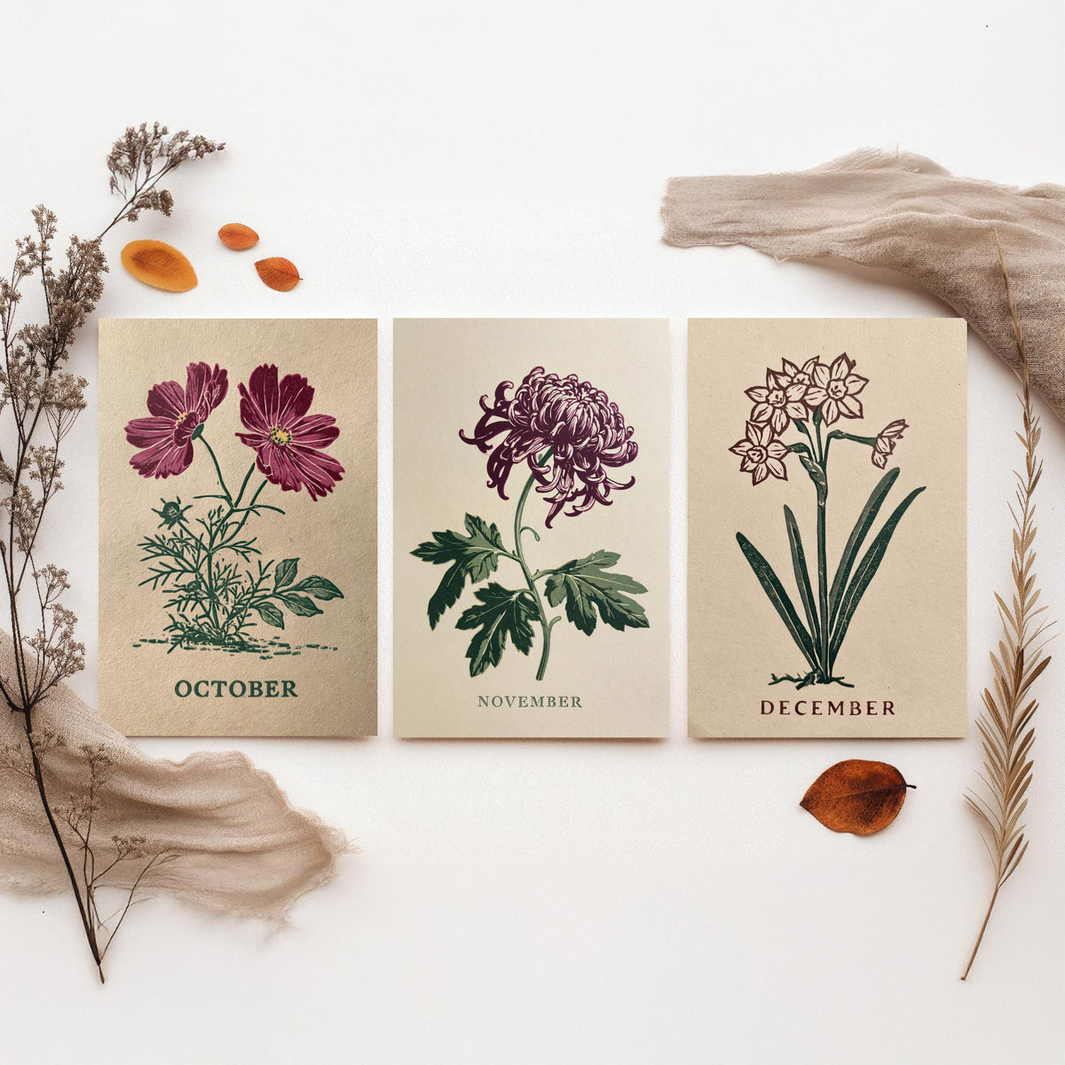October to December Birth Flower Set of Three Art Prints - Cosmos, Chrysanthemum, Narcissus - Bold Block Print Illustration Posters