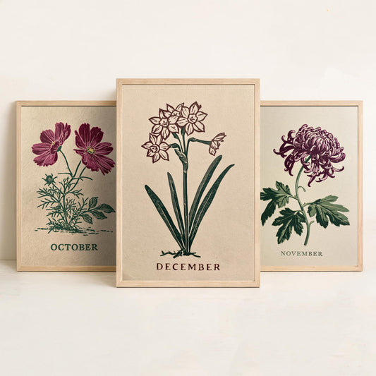October to December Birth Flower Set of Three Art Prints - Cosmos, Chrysanthemum, Narcissus - Bold Block Print Illustration Posters