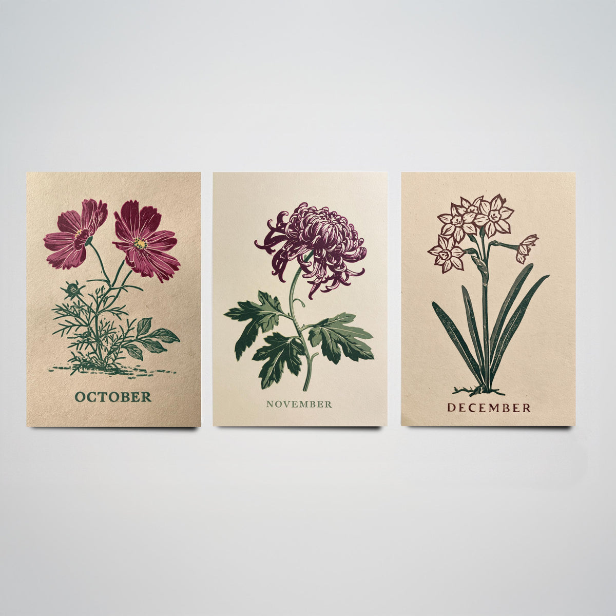 October to December Birth Flower Set of Three Art Prints - Cosmos, Chrysanthemum, Narcissus - Bold Block Print Illustration Posters