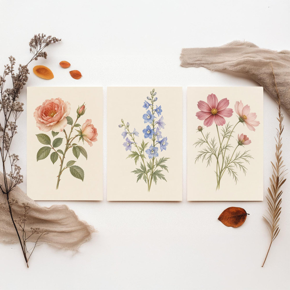 June, July and October Birth Flower Set of Three Art Prints - Rose, Larkspur, Cosmos - Soft Watercolour Botanical Illustration Posters