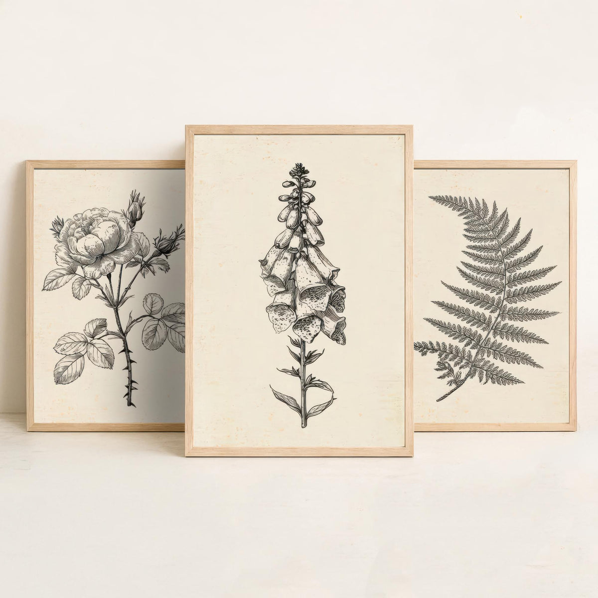 Rose, Fern and Foxglove Botanical Pencil Sketch Set of Three Art Prints - Vintage Black and White Drawing Poster - Cottage Flowers V1