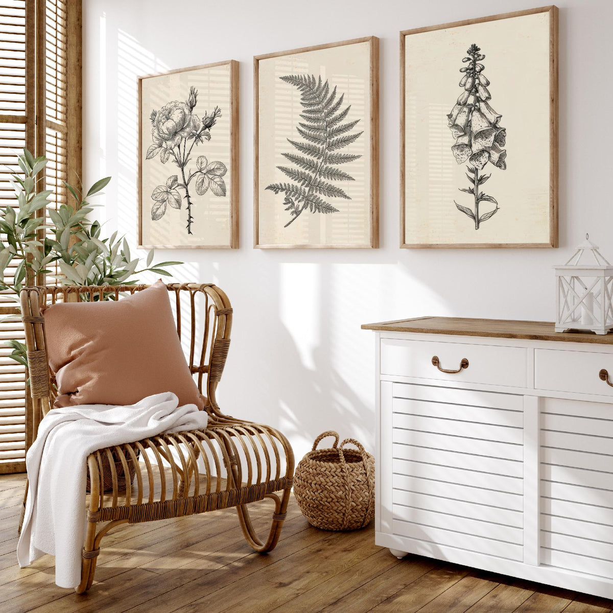 Rose, Fern and Foxglove Botanical Pencil Sketch Set of Three Art Prints - Vintage Black and White Drawing Poster - Cottage Flowers V1