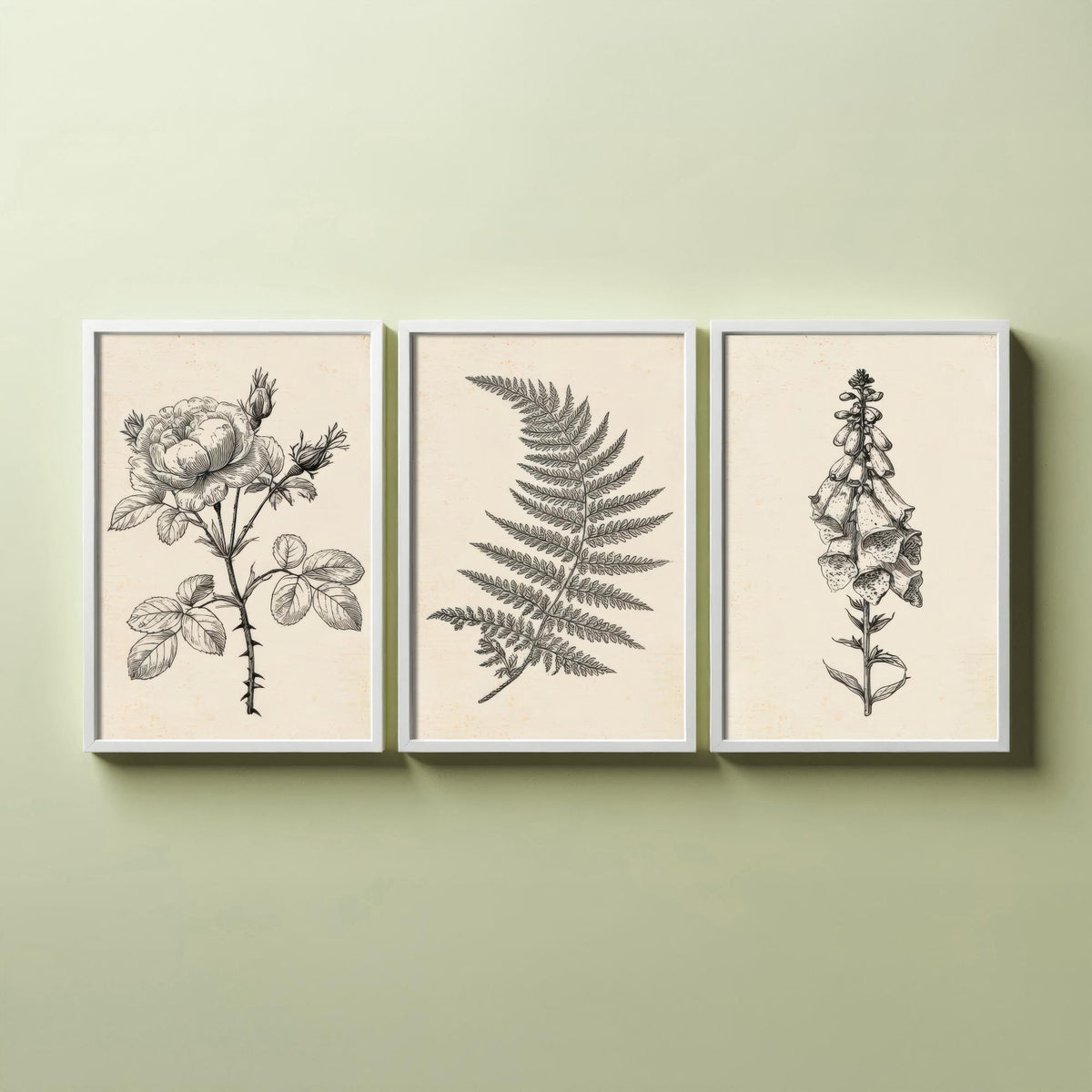 Rose, Fern and Foxglove Botanical Pencil Sketch Set of Three Art Prints - Vintage Black and White Drawing Poster - Cottage Flowers V1