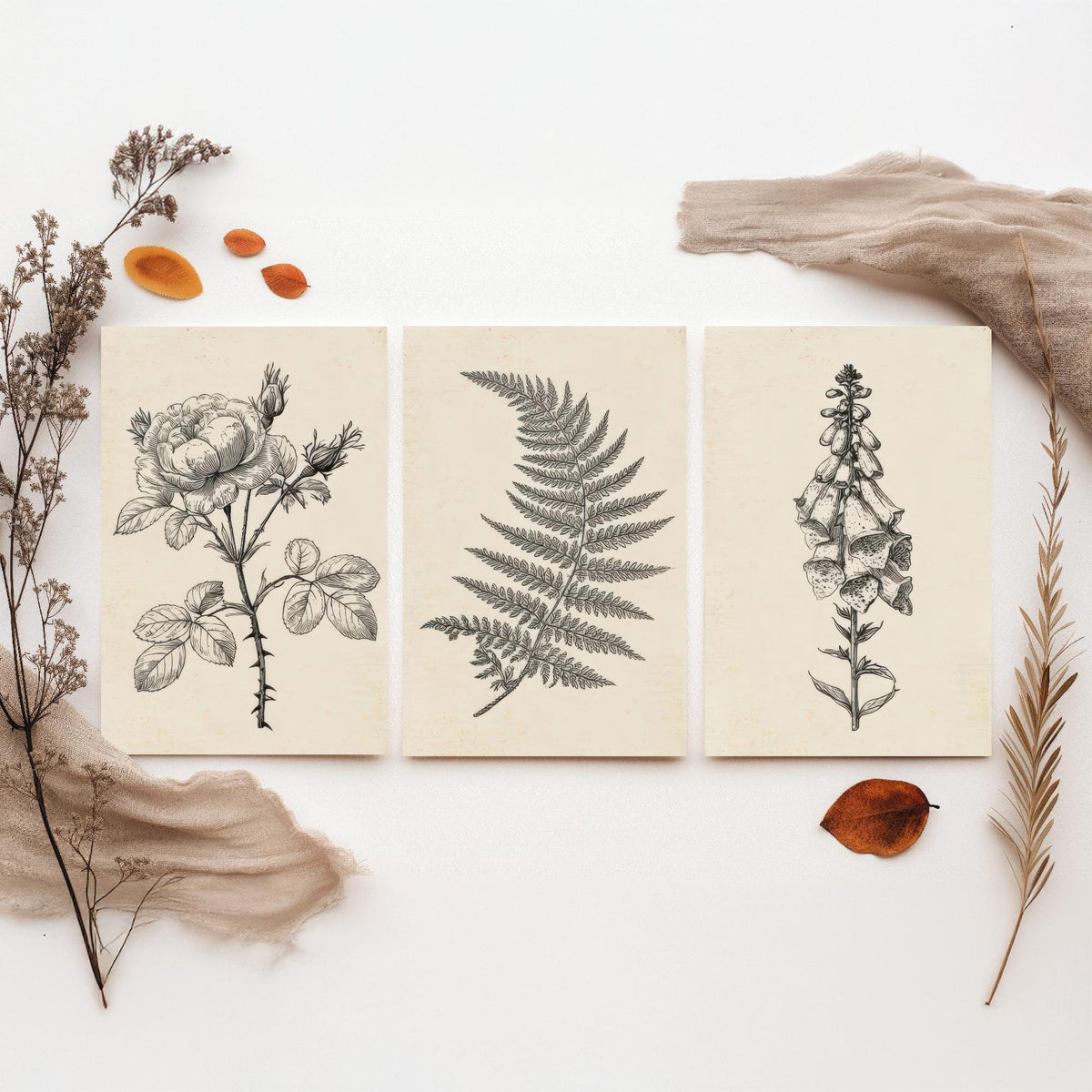 Rose, Fern and Foxglove Botanical Pencil Sketch Set of Three Art Prints - Vintage Black and White Drawing Poster - Cottage Flowers V1