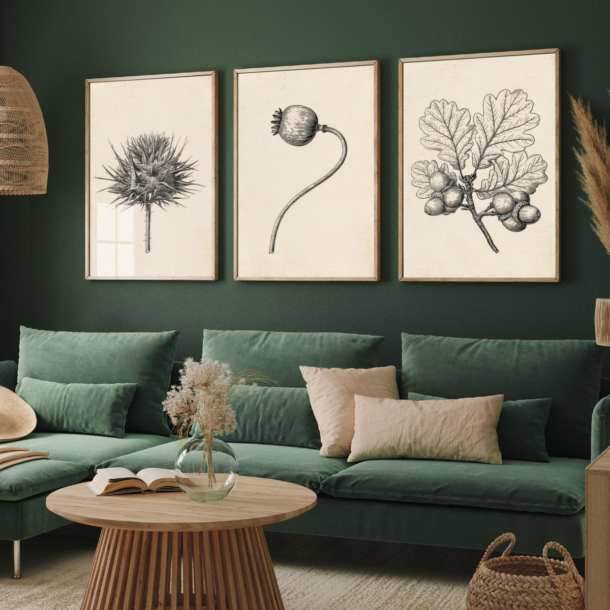 Thistle, Poppy Seed Head and Oak Acorn Sprig Poster - Botanical Pencil Sketch Set of Three Art Prints - Monochrome Nature Drawing V2